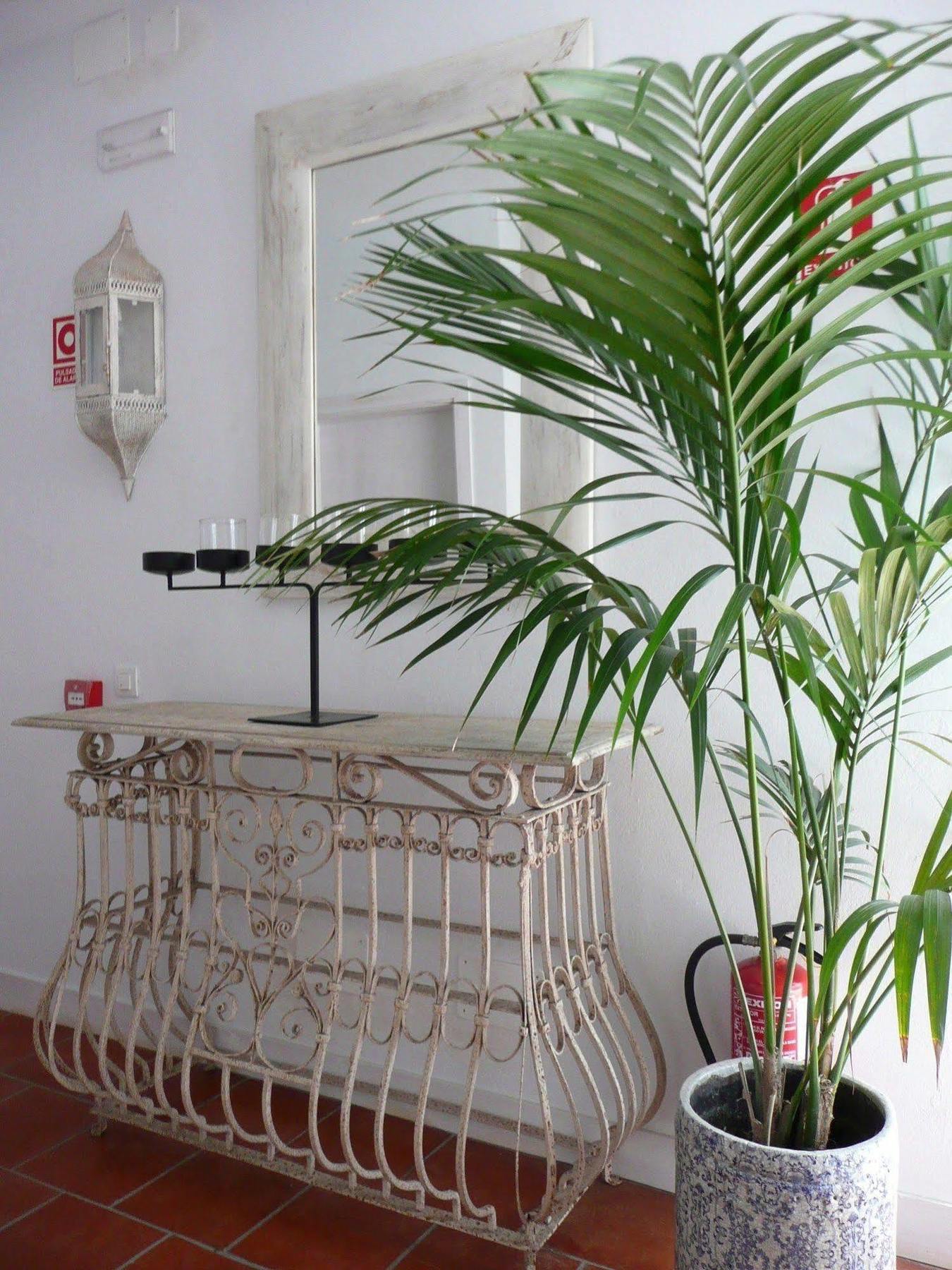 Benali Guest House Tarifa Buitenkant foto
